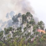 Sul Informação - Dois canadairs, dois aviões ligeiros e três helicópteros ajudaram a controlar fogo na Serra de Monchique