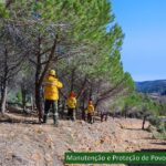 Sul Informação - Sapadores Florestais de São Brás de Alportel completam 5 anos de atividade