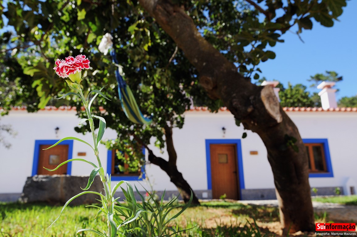Sul Informação - Empresários do turismo rural do Algarve reavivam associação TerAlgarve