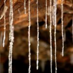 Sul Informação - Uma viagem ao interior da terra…que foi mar