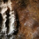 Sul Informação - Uma viagem ao interior da terra…que foi mar