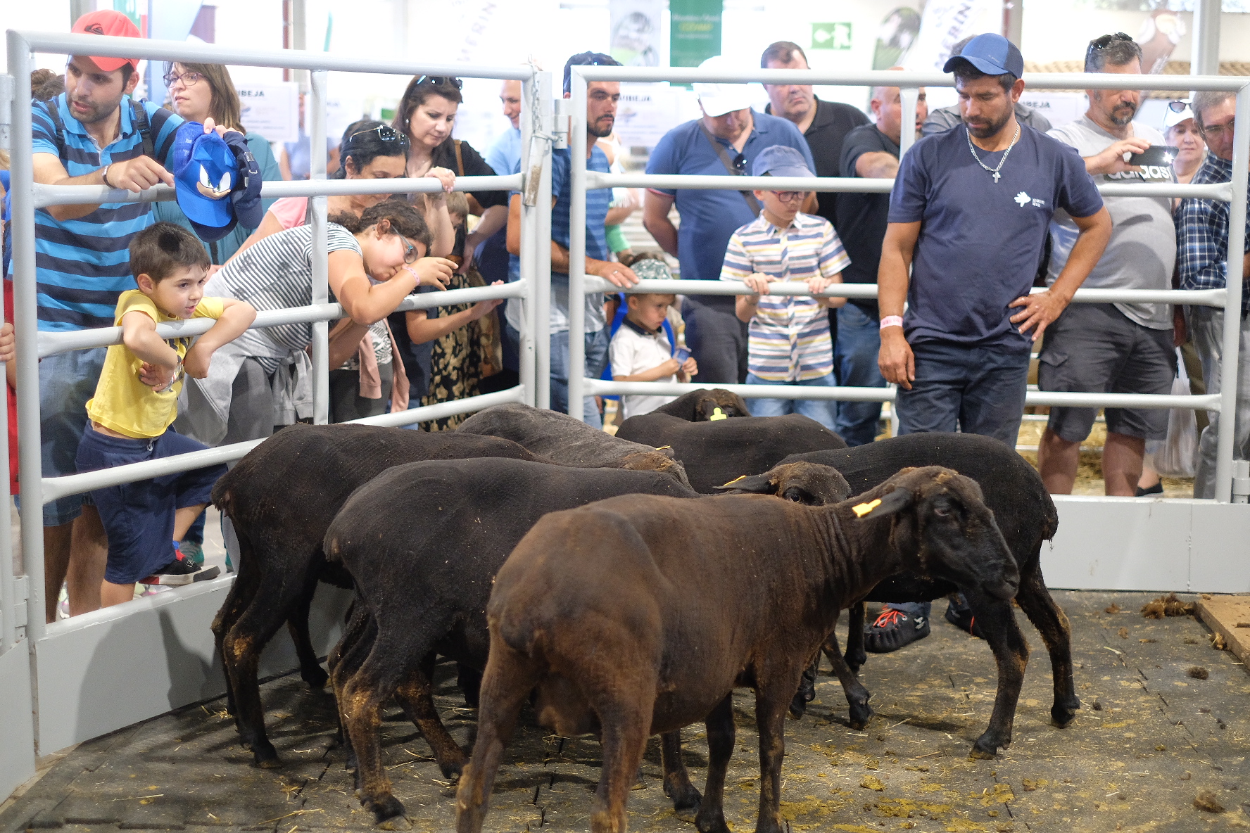 Sul Informação - Já há datas para a próxima Ovibeja