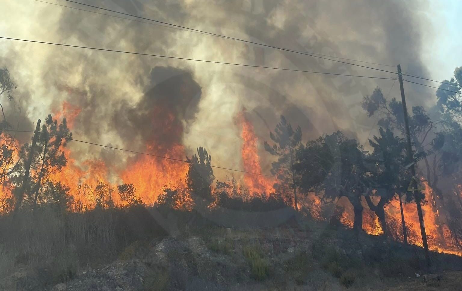 Sul Informação - Habitações evacuadas devido a incêndio de São Teotónio que mantém 3 frentes ativas