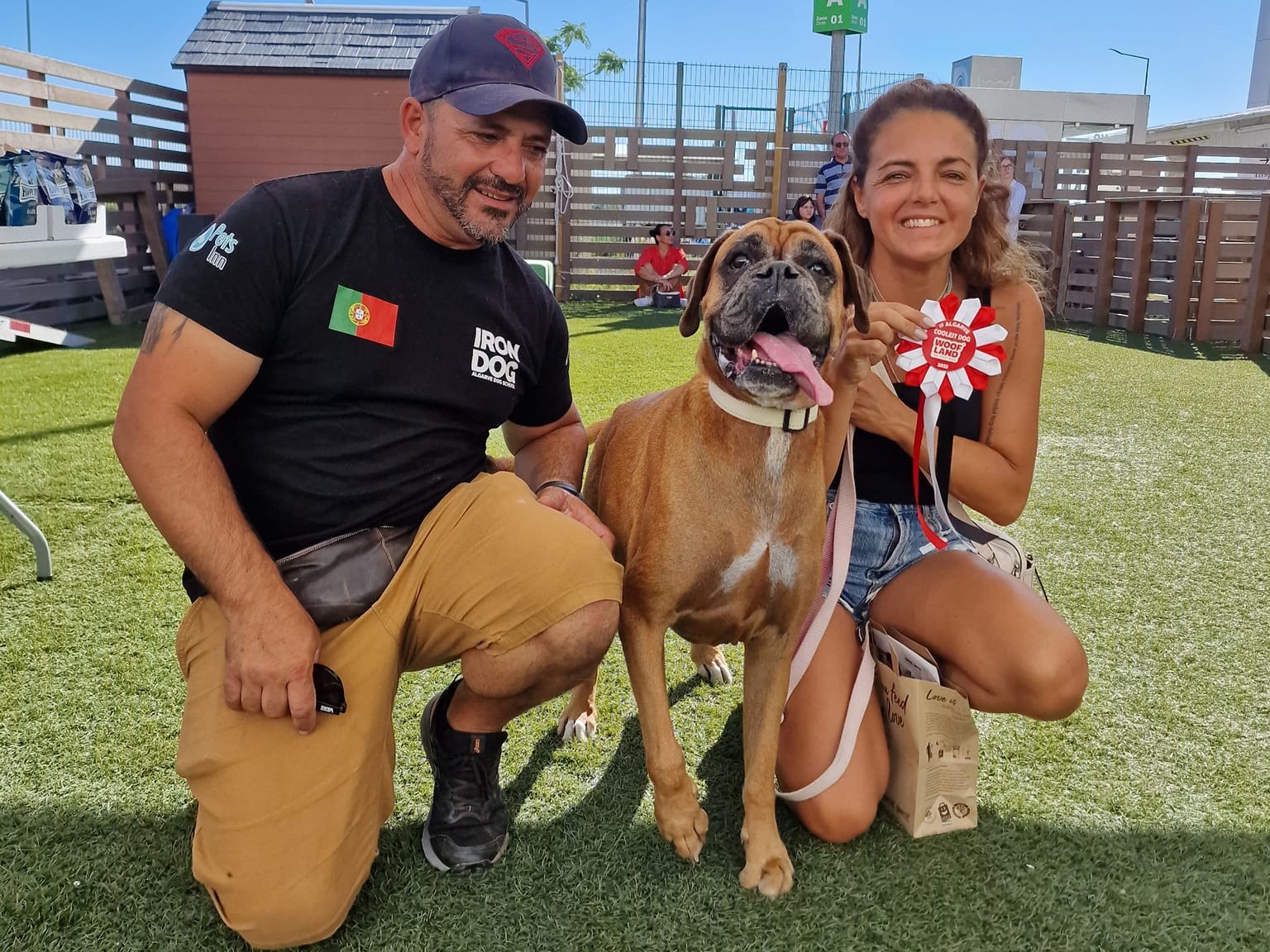 Sul Informação - Acha que tem o cão mais “cool” do Algarve? Leve-o ao Woofland by Iron Dog
