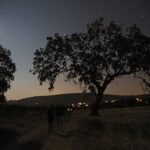 Sul Informação - Caminhada ao luar deu a conhecer o vale de Salir, fértil em História e histórias
