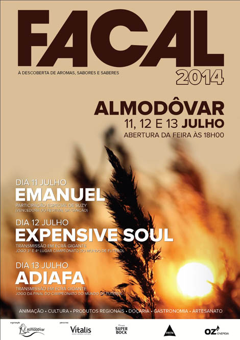 Sul Informação - Emanuel, Expensive Soul e Adiafa são cabeças-de-cartaz na FACAL de Almodôvar