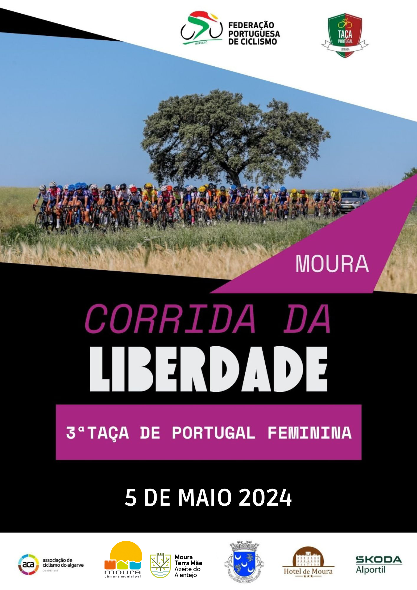Sul Informação