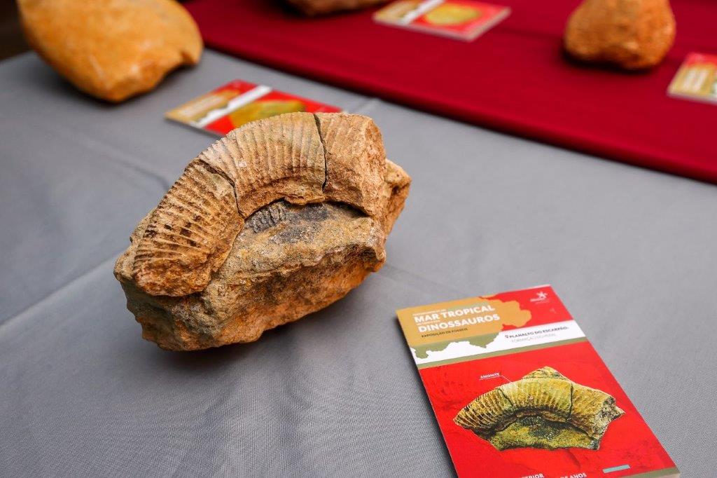 Sul Informação - Livro que conta a história geológica do Planalto do Escarpão apresentado em Albufeira