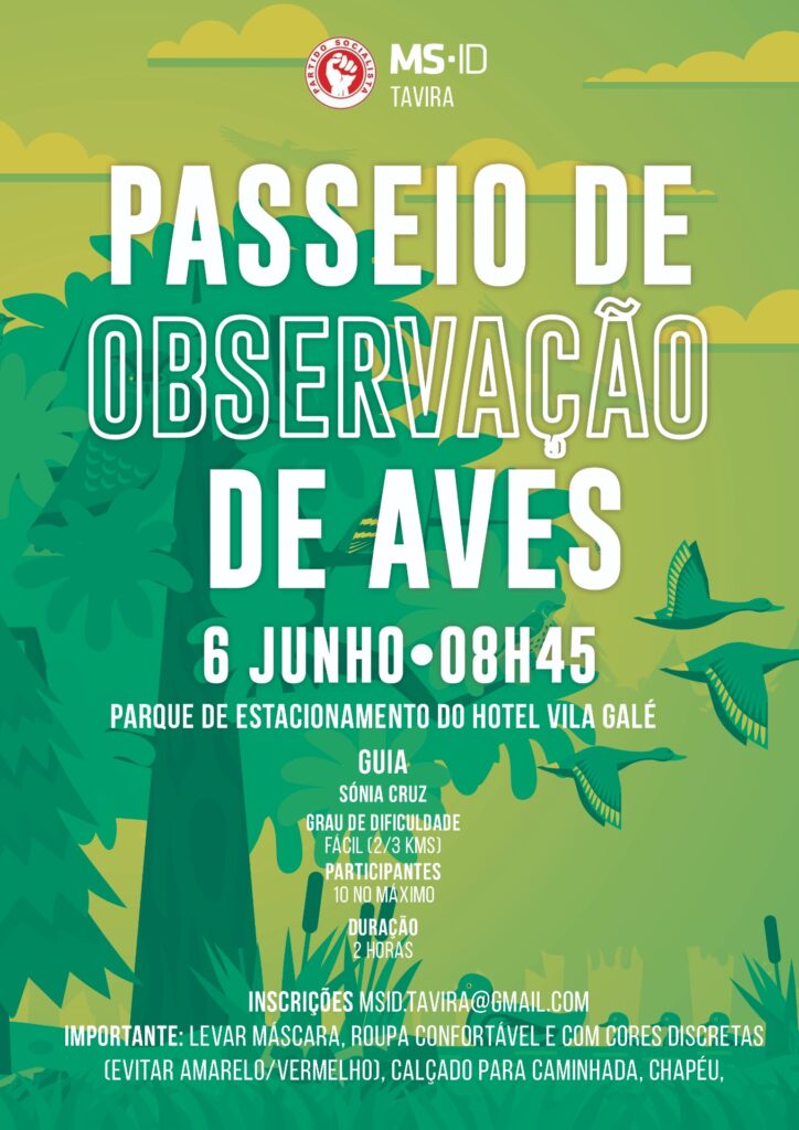 Sul Informação