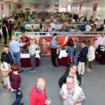 Sul Informação - Casa Sabicos Reserva 2013 ganha medalha de excelência da Confraria Bacchus de Albufeira