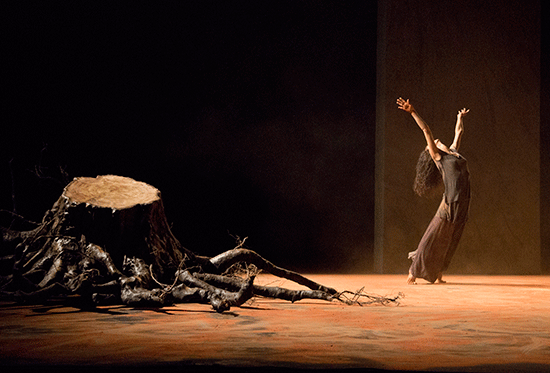 Sul Informação - «Sagração da Primavera» com Olga Roriz “dentro” celebrada este sábado no Teatro das Figuras