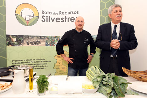 Sul Informação - Chef António Nobre desenvolve receitas com recursos silvestres do Alentejo