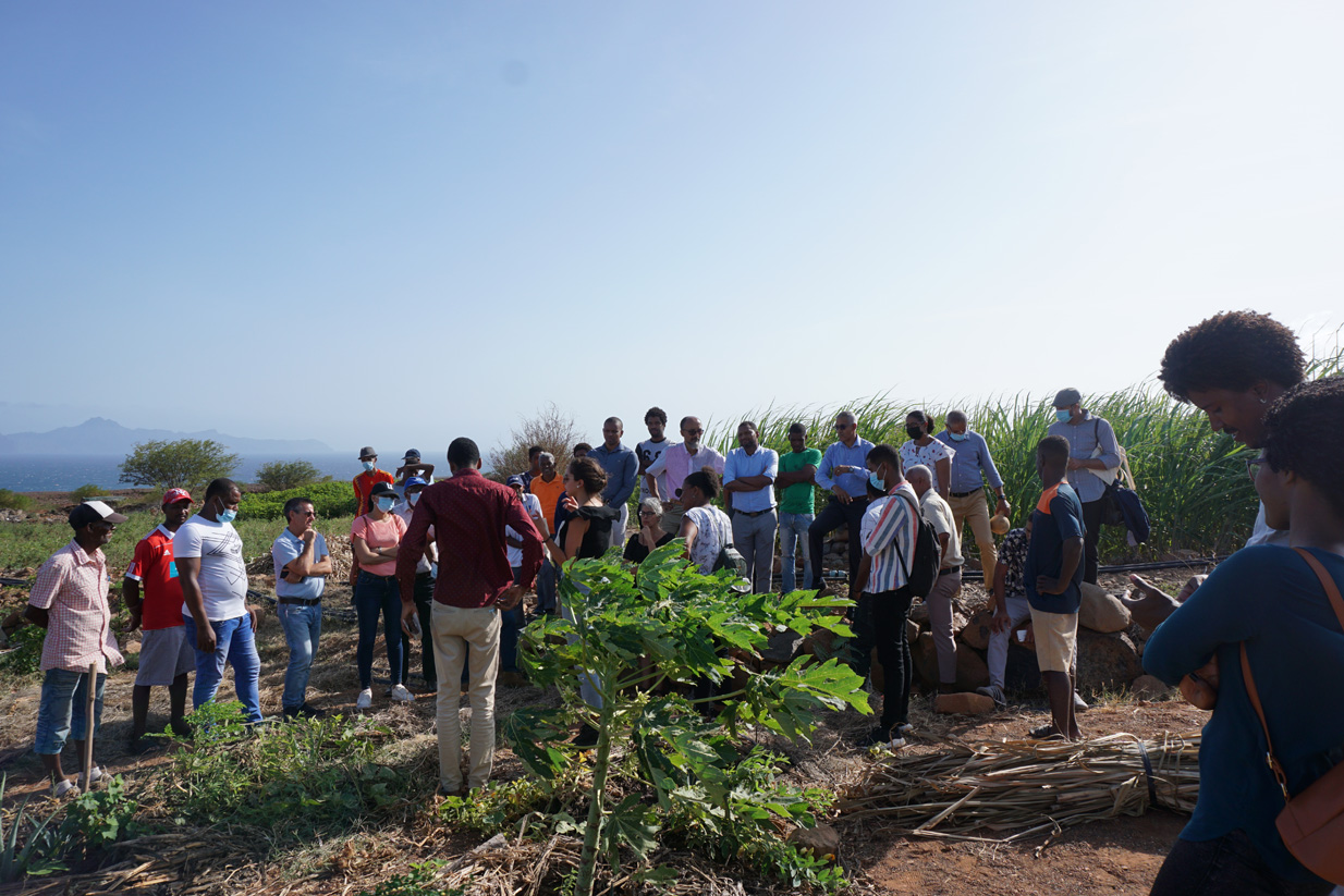 Sul Informação - ADPM de Mértola ajuda agricultores de Cabo Verde no combate às alterações climáticas