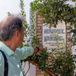 Sul Informação - Luís Santos apresenta Algarve com Traços e Formas na Galeria ARCO