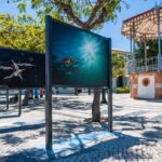 Sul Informação - João Rodrigues mostra o «ASul profundo» do mar do Algarve na Baixa de Faro