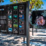 Sul Informação - João Rodrigues mostra o «ASul profundo» do mar do Algarve na Baixa de Faro