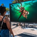 Sul Informação - João Rodrigues mostra o «ASul profundo» do mar do Algarve na Baixa de Faro