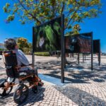 Sul Informação - João Rodrigues mostra o «ASul profundo» do mar do Algarve na Baixa de Faro