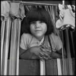 Sul Informação - Fotografias inéditas do Algarve dos anos 60 e 70 dão origem a livro