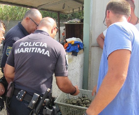 Sul Informação - Polícia Marítima de Olhão recupera 30 quilos de ostras furtadas