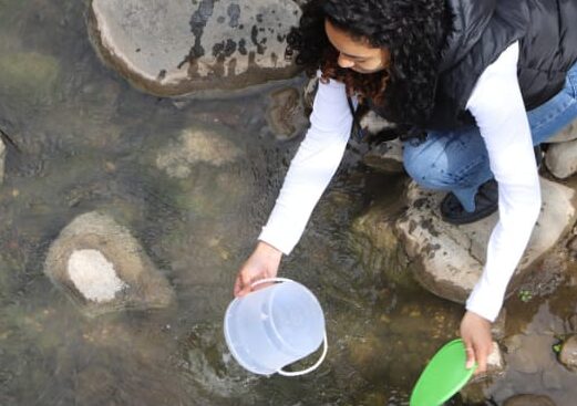 Sul Informação - Aquário Vasco da Gama liberta 900 peixes de água doce em risco de extinção