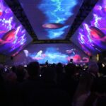 Sul Informação - Videomapping «fantástico» marca arranque de Cidade Europeia do Desporto com mil eventos