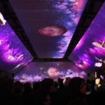 Sul Informação - Videomapping «fantástico» marca arranque de Cidade Europeia do Desporto com mil eventos