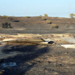 Sul Informação - Em Santa Rita, onde existiu um canil, apenas resta morte e destruição após o incêndio