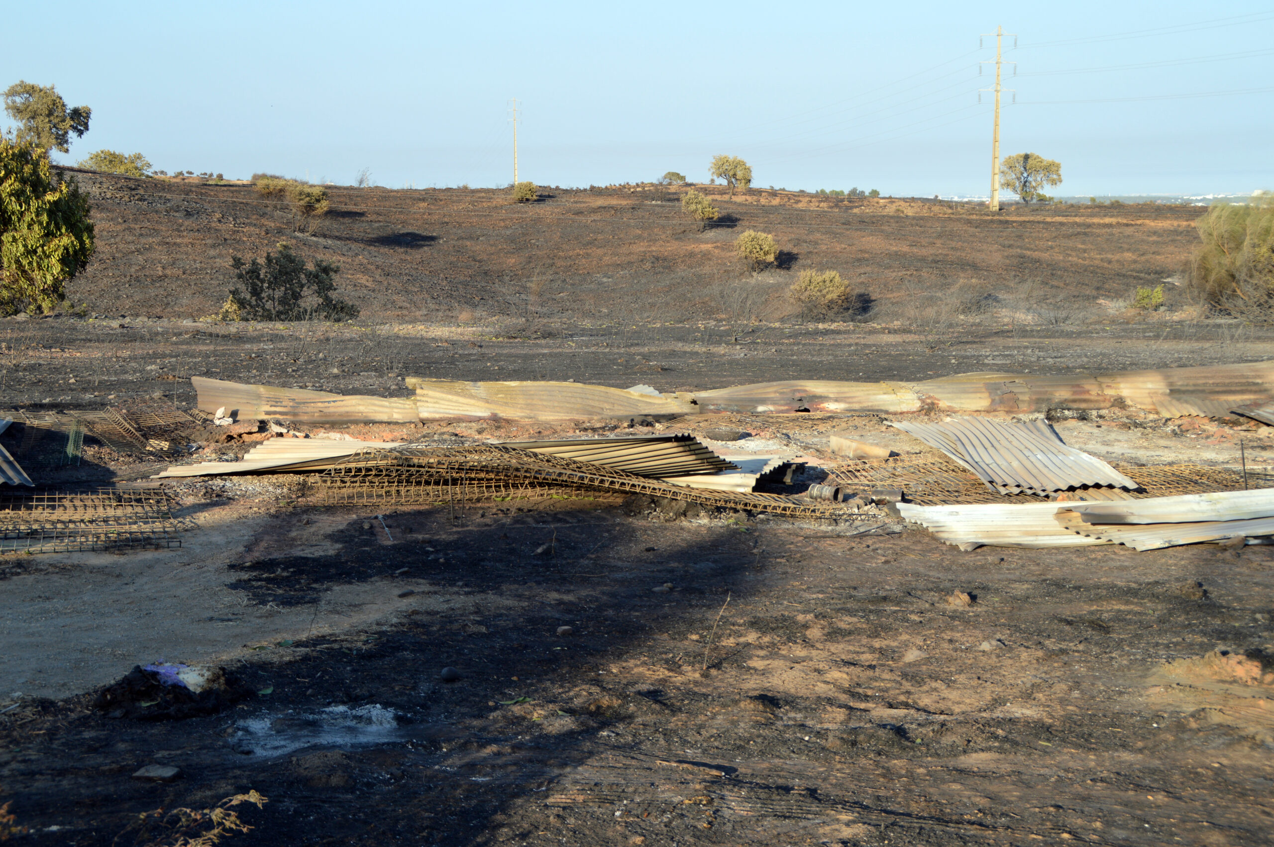 Sul Informação - Em Santa Rita, onde existiu um canil, apenas resta morte e destruição após o incêndio