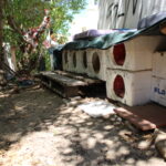 Sul Informação - Animal Rescue Algarve lança em Vilamoura projeto para esterilizar «1500 gatos de rua anualmente»