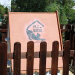Sul Informação - Animal Rescue Algarve lança em Vilamoura projeto para esterilizar «1500 gatos de rua anualmente»