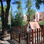Sul Informação - Animal Rescue Algarve lança em Vilamoura projeto para esterilizar «1500 gatos de rua anualmente»