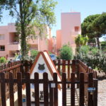 Sul Informação - Animal Rescue Algarve lança em Vilamoura projeto para esterilizar «1500 gatos de rua anualmente»