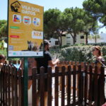 Sul Informação - Animal Rescue Algarve lança em Vilamoura projeto para esterilizar «1500 gatos de rua anualmente»
