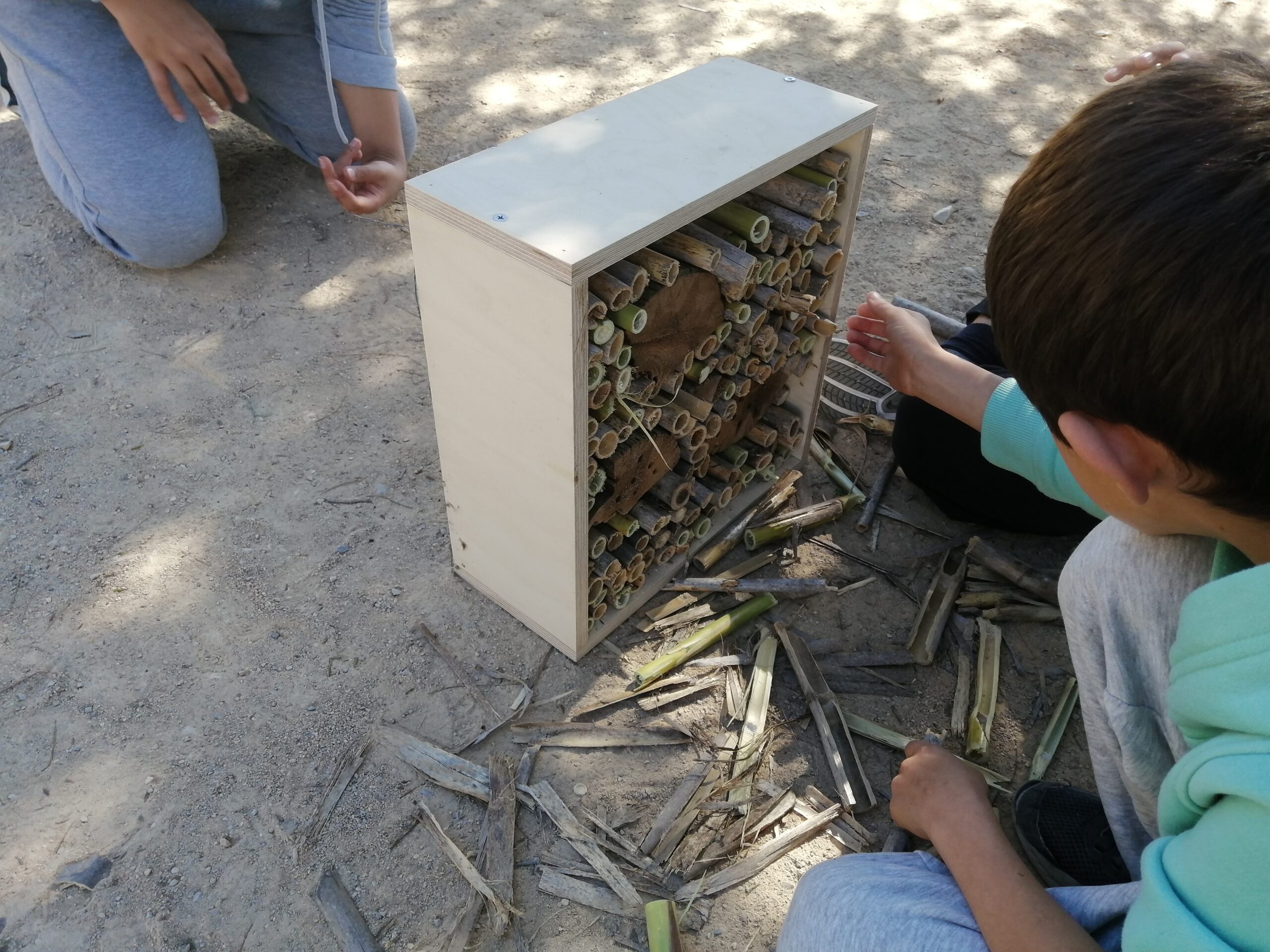 Sul Informação - Aves, insetos e morcegos têm novos abrigos em Loulé