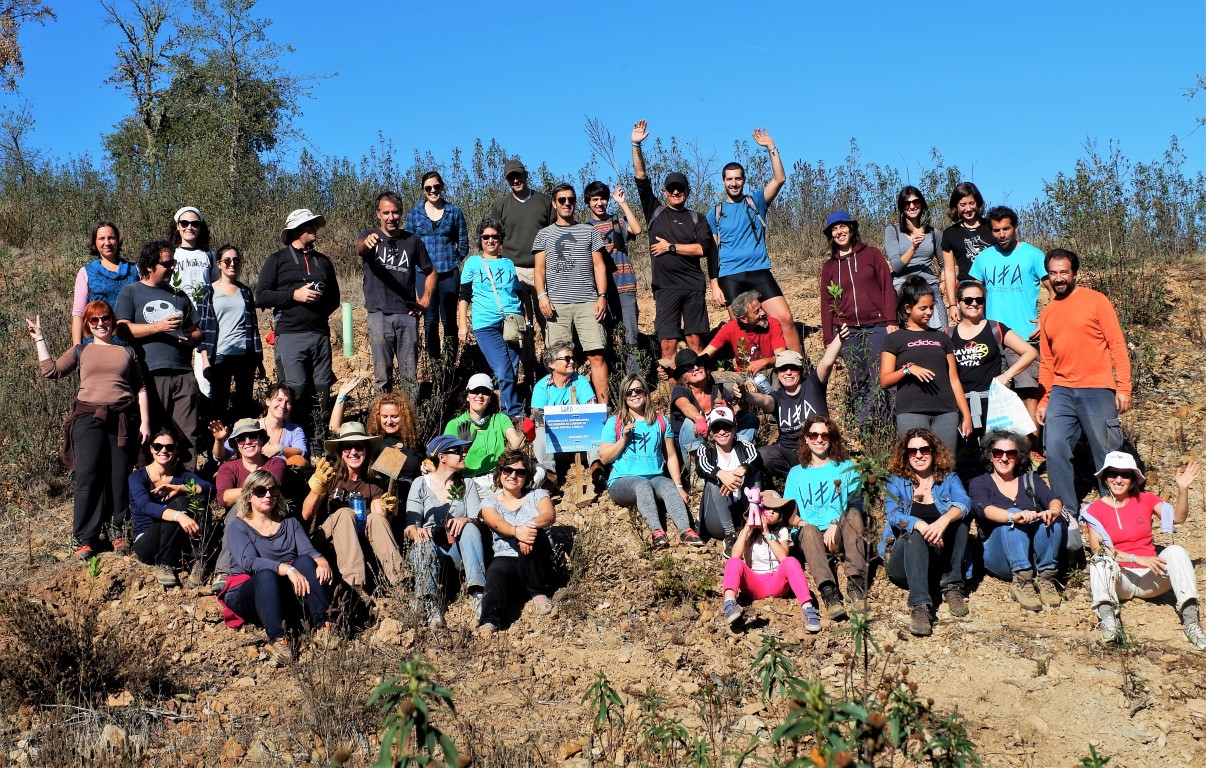 Sul Informação - Festival de Caminhadas planta centenas de árvores no Ameixial para compensar pegada de carbono [com fotos]