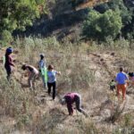 Sul Informação - Festival de Caminhadas planta centenas de árvores no Ameixial para compensar pegada de carbono [com fotos]