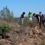 Sul Informação - Festival de Caminhadas planta centenas de árvores no Ameixial para compensar pegada de carbono [com fotos]