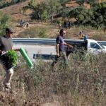 Sul Informação - Festival de Caminhadas planta centenas de árvores no Ameixial para compensar pegada de carbono [com fotos]
