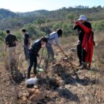 Sul Informação - Festival de Caminhadas planta centenas de árvores no Ameixial para compensar pegada de carbono [com fotos]