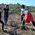 Sul Informação - Festival de Caminhadas planta centenas de árvores no Ameixial para compensar pegada de carbono [com fotos]