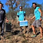 Sul Informação - Festival de Caminhadas planta centenas de árvores no Ameixial para compensar pegada de carbono [com fotos]