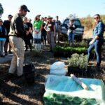 Sul Informação - Festival de Caminhadas planta centenas de árvores no Ameixial para compensar pegada de carbono [com fotos]