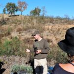Sul Informação - Festival de Caminhadas planta centenas de árvores no Ameixial para compensar pegada de carbono [com fotos]