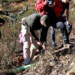 Sul Informação - Festival de Caminhadas planta centenas de árvores no Ameixial para compensar pegada de carbono [com fotos]