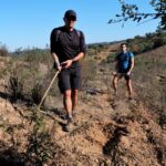 Sul Informação - Festival de Caminhadas planta centenas de árvores no Ameixial para compensar pegada de carbono [com fotos]