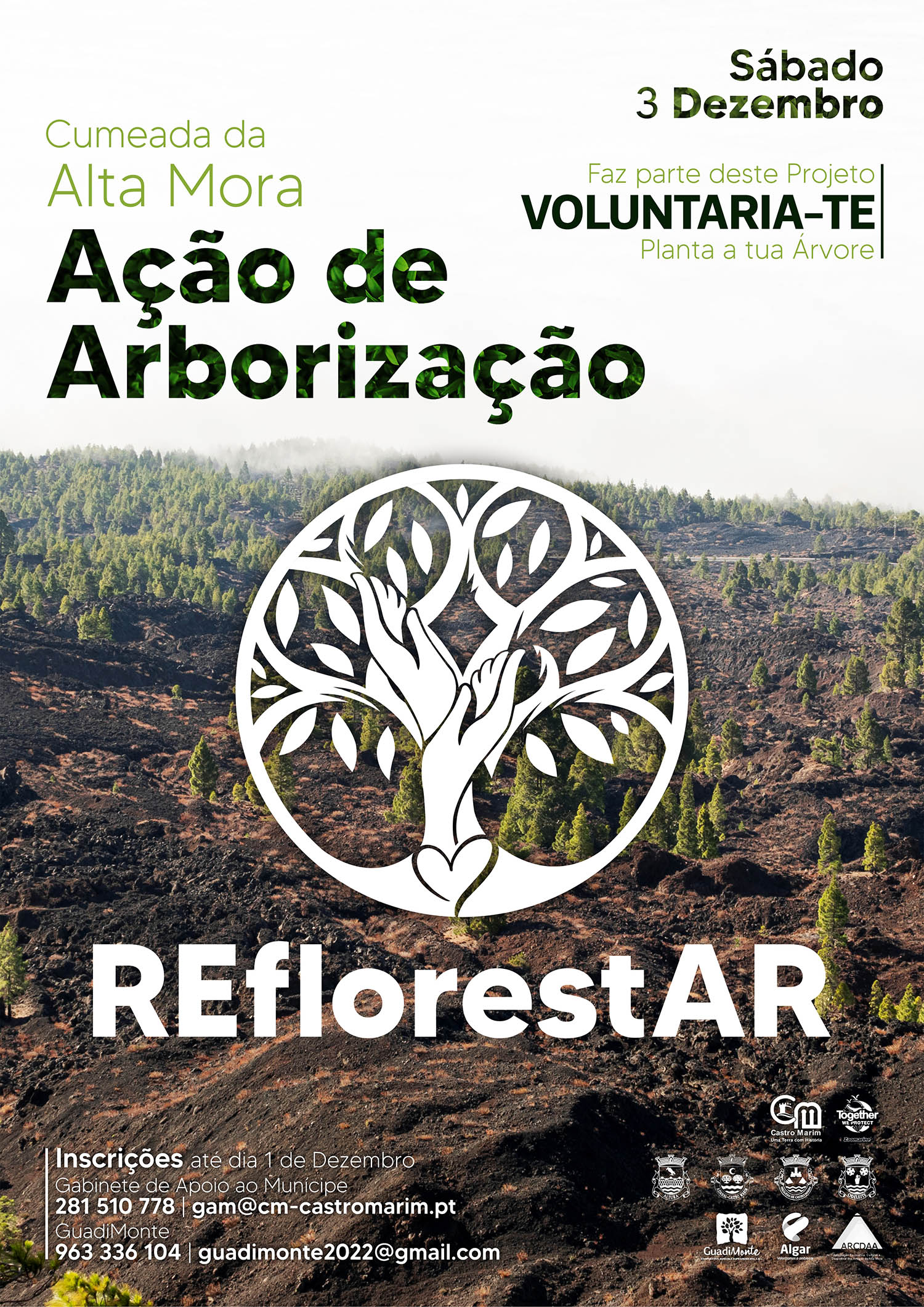 Sul Informação
