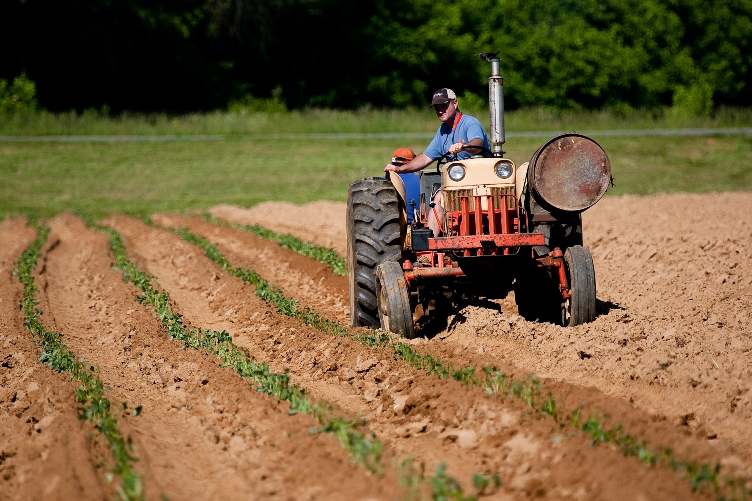 Sul Informação - In Loco abre candidaturas para apoios à renovação dos tratores agrícolas