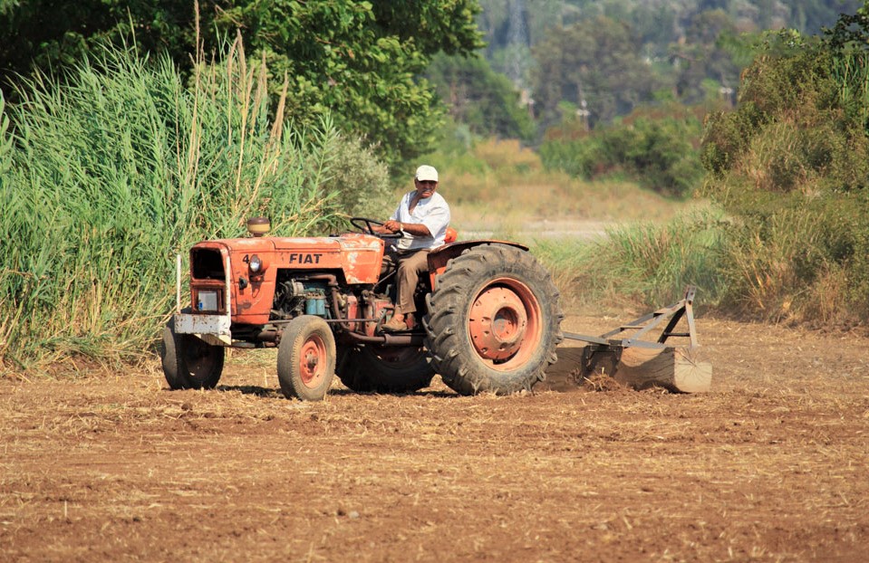 Sul Informação - In Loco lança plano de ação para qualificar agricultores do Algarve Central