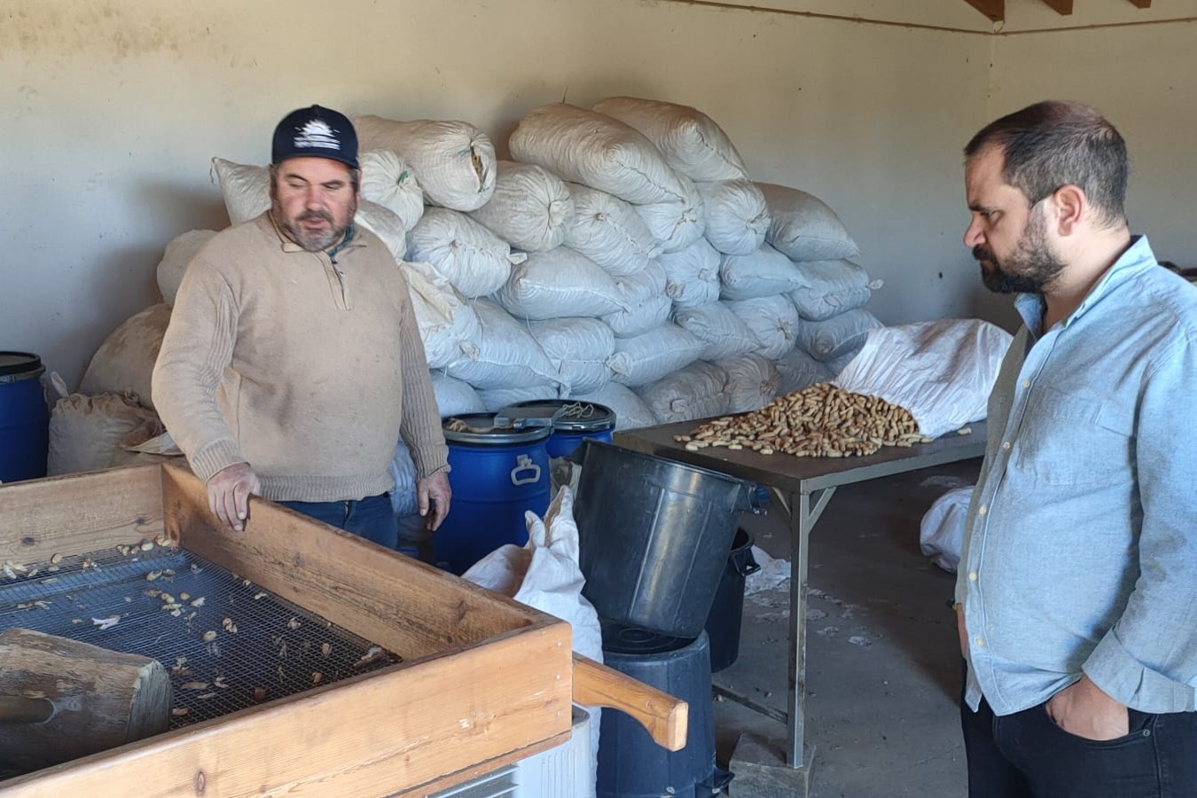 Sul Informação - BE quer apoios para promover a agricultura sustentável e defender pequenos produtores